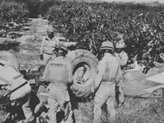 Última Hora: Fallece un vecino al quedar atrapado bajo su tractor en Beneixida