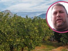 “Me han robado mis naranjas”: la amarga historia de Ximo, un agricultor en Alzira que lo ha perdido todo
