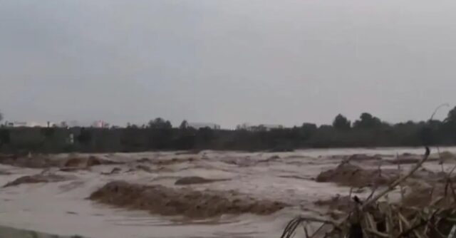 Captura de pantalla 2025-03-05 100520