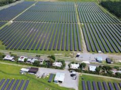 Cox invierte en Solar Pro, una planta solar de 24MW en Panamá