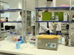 La Fundación IVI presenta en Eshre un tratamiento que quintuplica la reserva ovárica