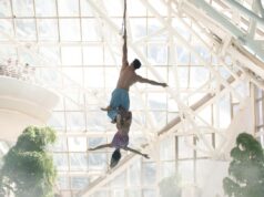 Caldea renueva su oferta con espectáculos y talleres únicos