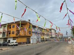 Fechas, horarios y actividades del Mig Any Faller de Alzira