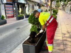 “No entiendo esta obsesión”: roban por cuarta vez las jardineras de Alzira