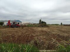 La Generalitat Valenciana da inicio a las obras de la variante norte en Albalat de la Ribera con una inversión de 5,1 millones de euros