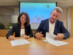 Nuevas Normativas en la Comunidad Valenciana para la Custodia Compartida de Mascotas