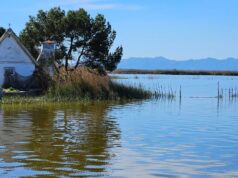 Un pescador se electrocuta en l’Albufera al tocar un cable aéreo