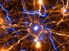 Madrid será sede del XVII Simposio Geino de investigación en neurooncología