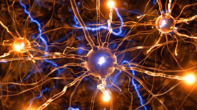 neurociencia.jpg