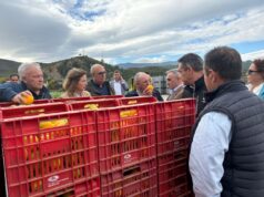 El Consell refuerza su apoyo a las cooperativas agroalimentarias para mejorar la competitividad en la Comunidad Valenciana