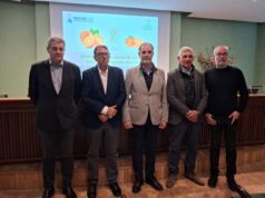 Investigación reafirma los beneficios de los cítricos para la salud humana