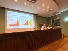 La Generalitat refuerza el control y la gestión de jabalíes ante la sobreabundancia en zonas agrícolas