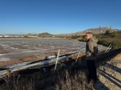 Barrachina urge a Agroseguro a acelerar compensaciones a agricultores tras temporales