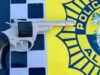 Un arma falsa casi real, incautada en un control en Algemesí