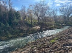 La Generalitat Valenciana impulsa la declaración del Bosc de Ribera d’Algemesí como espacio natural protegido