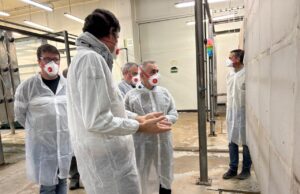 La Generalitat Valenciana invierte más de 39 millones de euros en sanidad vegetal para salvar la agricultura local