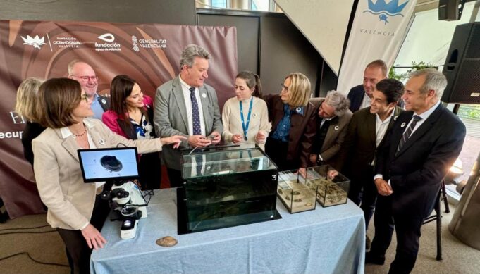 La Generalitat Valenciana refuerza la protección del petxinot en l’Albufera como clave ecológica