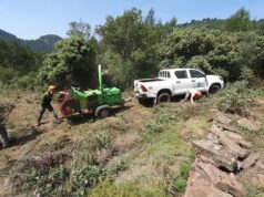 La Generalitat inicia una estrategia para mejorar la seguridad contra incendios forestales