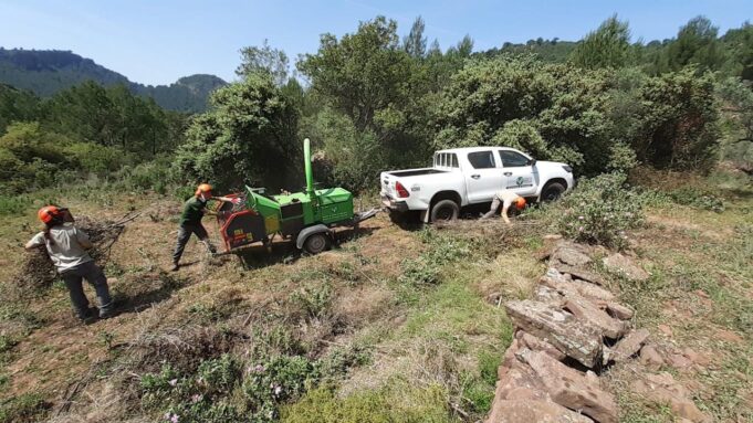 La Generalitat inicia una estrategia para mejorar la seguridad contra incendios forestales