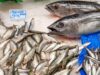Picor, enrojecimiento y sustos: la intoxicación por pescado que no es alergia