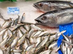 Picor, enrojecimiento y sustos: la intoxicación por pescado que no es alergia