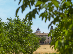 Con vinos de alta calidad y viñedo propio, Finca Casa Doñana inicia su andadura comercial