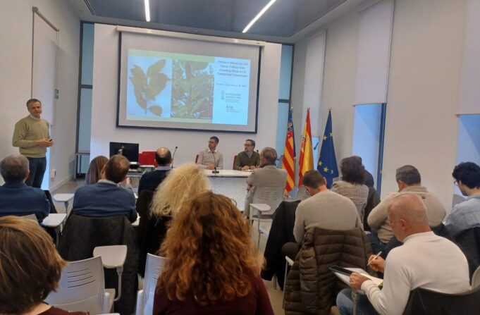 El sector citrícola de la Comunitat Valenciana recibe información sobre el virus de clorosis nervial amarilla