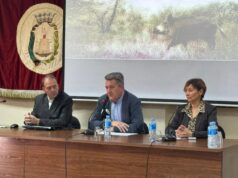 La Generalitat Valenciana Intensifica la Recogida de Jabalíes para Controlar su Sobrepoblación y Prevenir la Peste Porcina Africana