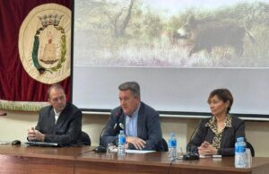 La Generalitat Valenciana Intensifica la Recogida de Jabalíes para Controlar su Sobrepoblación y Prevenir la Peste Porcina Africana