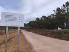 La Generalitat de Valencia inicia la reparación de 10 kilómetros de pistas forestales en Pina de Montalgrao afectadas por fuertes lluvias