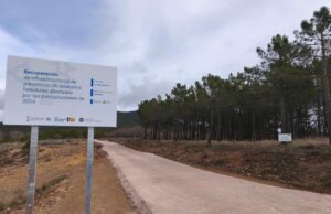 La Generalitat de Valencia inicia la reparación de 10 kilómetros de pistas forestales en Pina de Montalgrao afectadas por fuertes lluvias