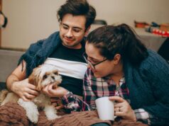 Andalucía reconoce el gasto veterinario en la Renta: conoce el mapa de deducciones en otras comunidades