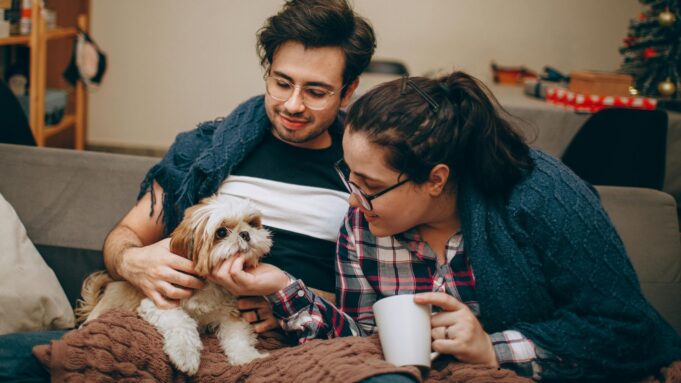 Andalucía reconoce el gasto veterinario en la Renta: conoce el mapa de deducciones en otras comunidades
