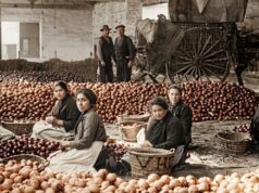 Alzira e Irán: una historia de sangre, savia y azahar