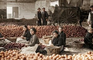 Alzira e Irán: una historia de sangre, savia y azahar