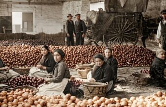 Alzira e Irán: una historia de sangre, savia y azahar