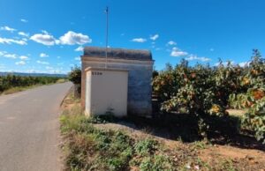 ¿Qué son esas extrañas casetas entre los naranjos de Alzira?