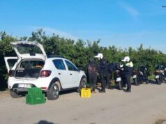 “¡De aquí no te mueves!”: Un agricultor de Alzira planta cara y retiene a un ladrón