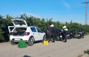 “¡De aquí no te mueves!”: Un agricultor de Alzira planta cara y retiene a un ladrón