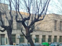 Crónica de un plantón: por qué Alzira se ha quedado sin nuevo instituto (de momento)