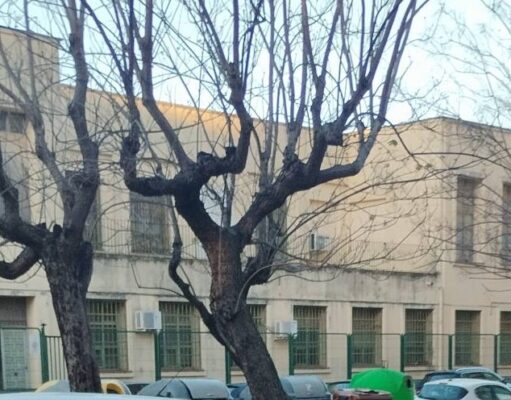 Crónica de un plantón: por qué Alzira se ha quedado sin nuevo instituto (de momento)
