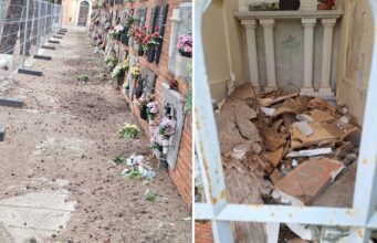 Piedras, piñas y parches: el “día a día” del cementerio de Alzira