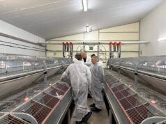 El Consell de Valencia destina 350.000 euros en ayudas para el sector cunícola