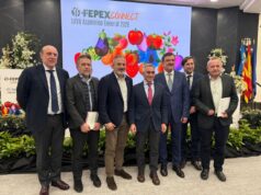 La Comunitat Valenciana Aumenta su Capacidad Exportadora en Frutas y Hortalizas, Según el Conseller de Agricultura