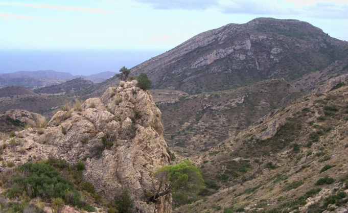 La Generalitat Valenciana promueve un total de 91 proyectos para la ordenación de montes públicos