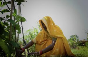 Así están cambiando la India rural las mujeres de una región olvidada