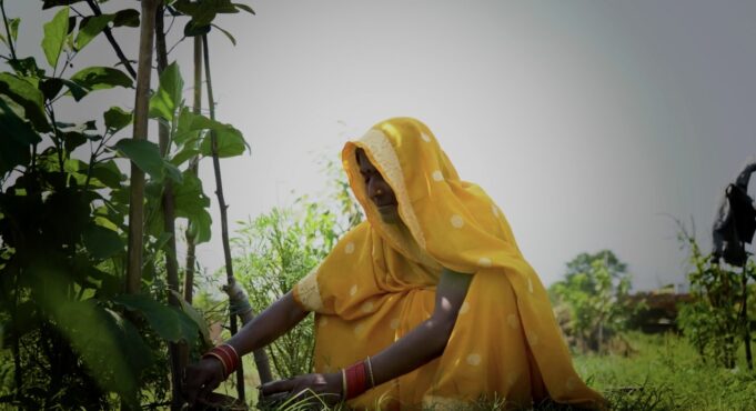 Así están cambiando la India rural las mujeres de una región olvidada