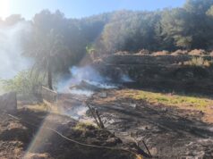 Susto en Alzira: una quema se descontrola y alcanza una zona de pinar