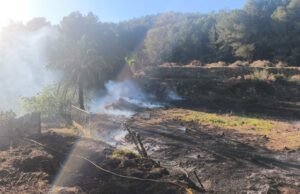 Susto en Alzira: una quema se descontrola y alcanza una zona de pinar