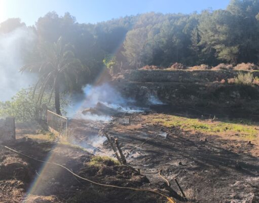 Susto en Alzira: una quema se descontrola y alcanza una zona de pinar